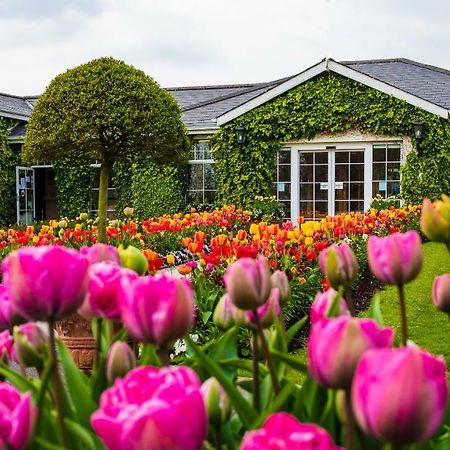 The Keadeen Hotel Newbridge  Esterno foto